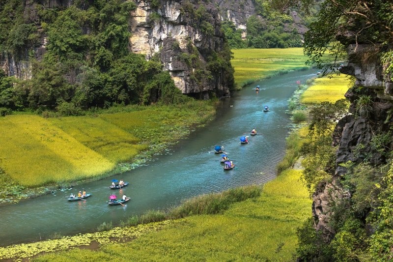 Tam Cóc durante la temporada de arroz - Authentik Vietnam